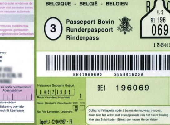 Het vertrouwde runderpaspoort verdwijnt en wordt vanaf 13 vervangen door twee nieuwe documenten