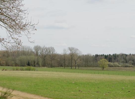 Op circa 62 procent van het areaal landnatuur werd in 2020 nog de kritische depositiewaarde voor stikstof overschreden