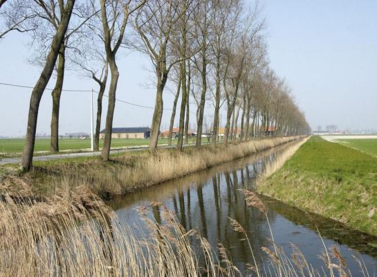 In de provincie West-Vlaanderen circuleert leptospirose het meest