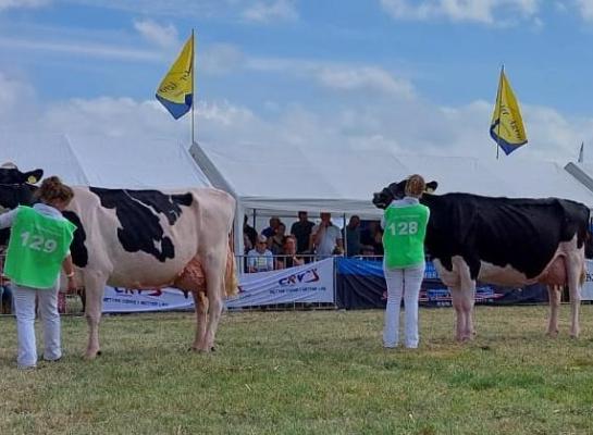 Het kampioensduo bij de senioren: Gretha 151 en Eelkje 497