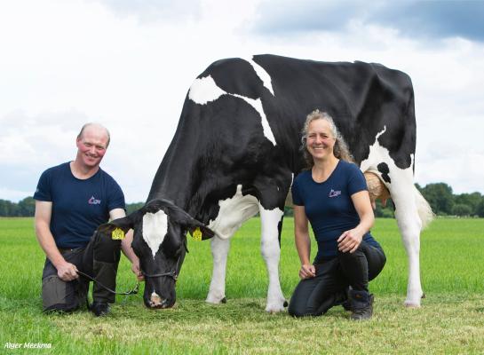 Willem Booij en Wendie Ottens, de fokkers van Double W Ranger, melken al enkele Delta-donoren