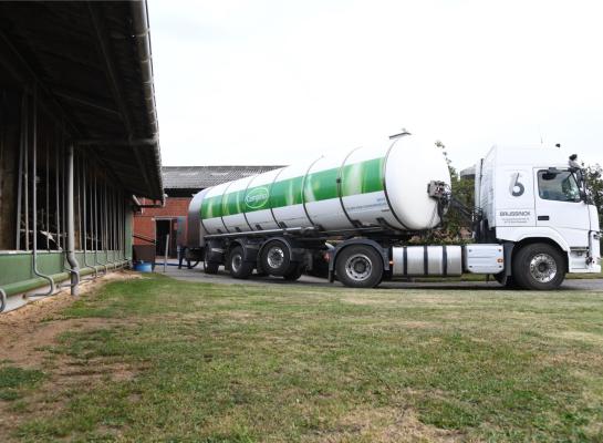 FrieslandCampina wil duurzame melk meer belonen