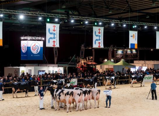 Ook dit jaar zijn er weer dochtergroepen aanwezig tijdens de HHH-show (foto: Els Korsten)