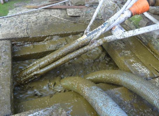 Sinds 1990 daalde uitstoot van ammoniak uit de landbouw met bijna 69 procent