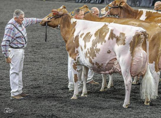 Joline won in Madison dit jaar het reserve algemeen kampioenschap