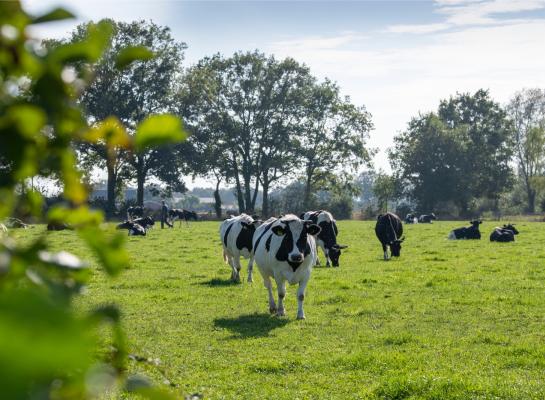 De familie Arink heeft de mineralenkringloop binnen het bedrijf vrijwel gesloten