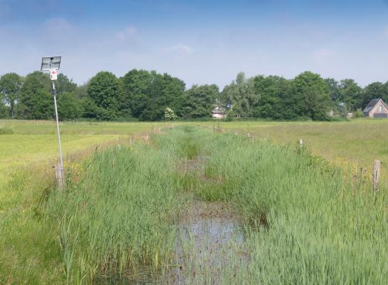 Het kabinet wil werk maken van regionale stikstofkaarten die ‘van onderop’ ontstaan