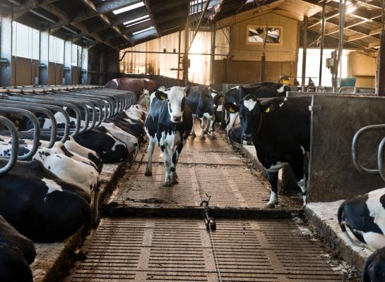 Bij het besproeien van de vloer met water maakte wel of niet schuiven van de vloer nauwelijks verschil