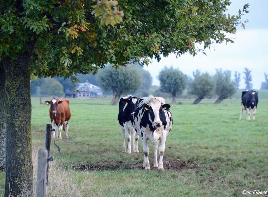 Er komt een bedrag van 227 miljoen euro beschikbaar om onder meer over te schakelen naar natuurinclusieve landbouw