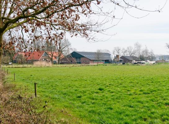  Als wel stikstofruimte wordt gezocht voor Schiphol en verbreding van de A27 en niet voor PAS-melders is dat volgens LTO Noord een klap in het gezicht van boeren