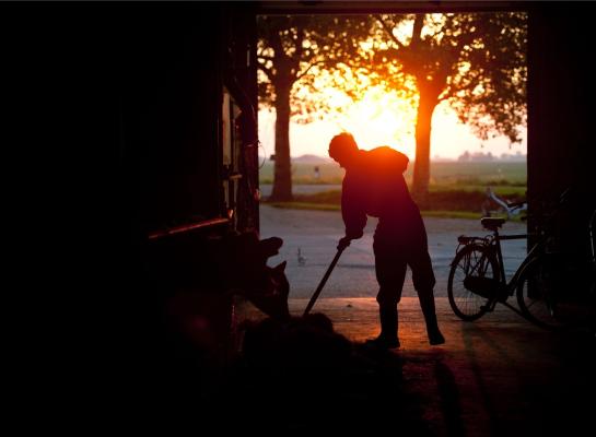 Komend half jaar wordt belangrijk voor de toekomst van de Nederlandse landbouw