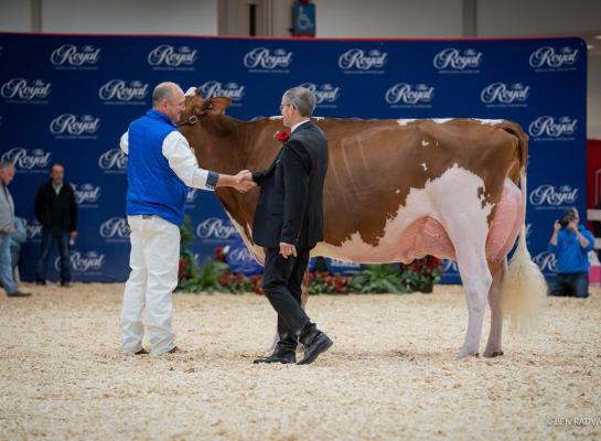 Maple won in Toronto het algemeen kampioenschap rood- én zwartbont