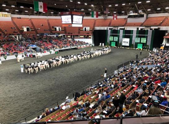 De juryleden voor de shows tijdens de World Dairy Expo voor 2023 zijn inmiddels aangewezen (foto: René de Wit)