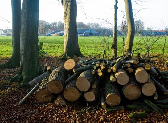 Pachters van provinciale landbouwgrond in Overijssel mogen hun percelen in 2023 niet bemesten, beweiden is wel toegestaan