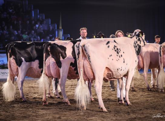 De winnende bedrijfsgroep van de familie Bons