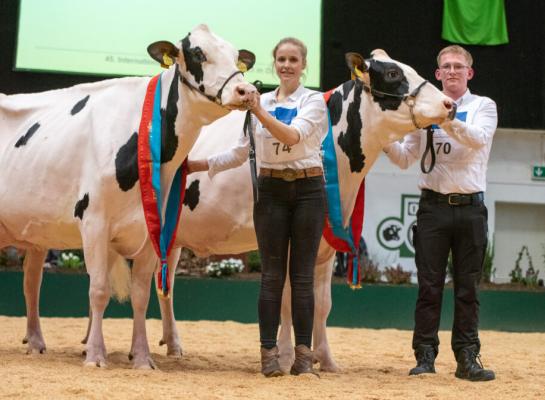 De winnaars in de middenklasse: Faible en Safari (foto: OHG)