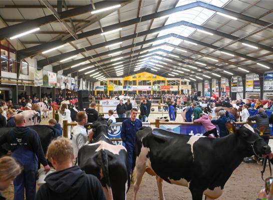 De besturen van de wintershows in Tolbert, Beilen en Middenmeer vinden het risico op verspreiding van ibr te groot om de shows dit jaar te organiseren