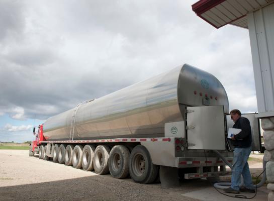 De dertien jaar oude Charlesdochter produceerde in totaal bijna 217.000 kg melk