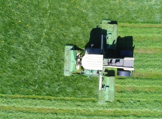 Het maaimoment is bepalend voor de hoogte van het aandeel NDF