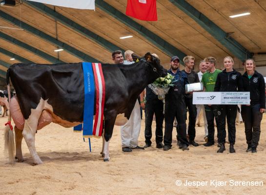 Miss Danmark 2023, een Battlecrydochter van Skovgaard Holsteins