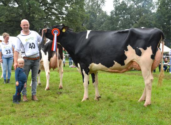 Ar-Type Alice won in Twello het algemeen kampioenschap zwartbont