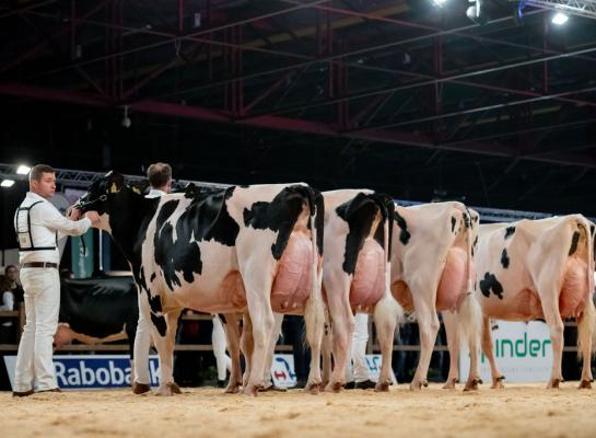 Heerenbrink Angelina schreef op de HHH-show zowel het algemeen kampioenschap als het kampioenschap in de middenklasse op haar naam (foto: Els Korsten)