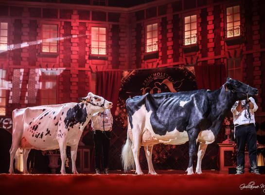 Bradnickdochter Ducasse Jaka (rechts) en Golddustdochter Ferme Verdel Nobelle (links) schrijven de Franse nationale show op hun naam (foto: Guillaume Moy)