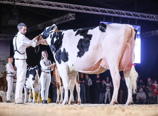 Het algemeen kampioenschap ging uiteindelijk naar Hanika de Bois Seigneur.