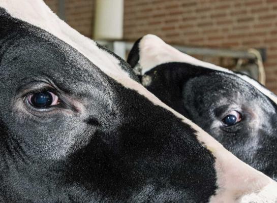 De indexdraai levert de nodige verschuivingen op in het klassement