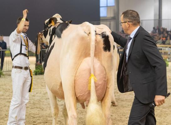 Jurylid Jacques Rouiller tikt Maxima aan als kampioene