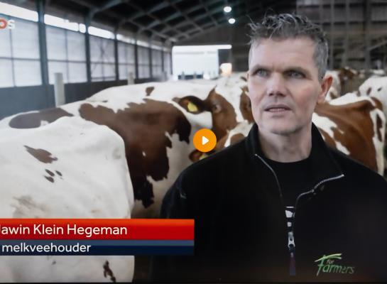Jawin Klein Hegeman ontving een verslaggever van het NOS Journaal op zijn bedrijf om uitleg te geven over de problemen die veehouders ervaren door het mestbeleid van de overheid (beeld: NOS Journaal)