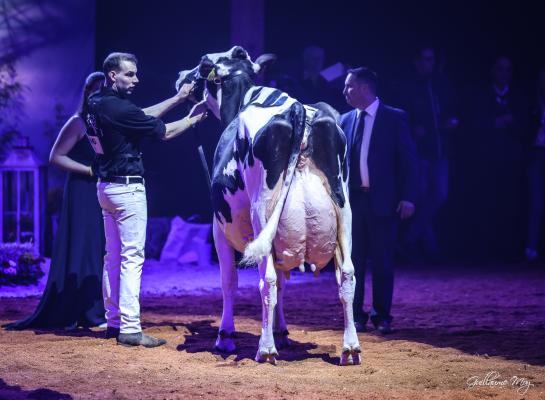 Jeroen van Beek bracht zelf Southland Dem Dellia 92 voor in Libramont