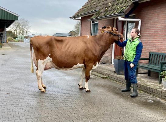 Jotanidochter JU Stina 76 won de titel bij de oudere koeien