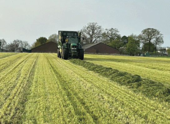 Inkuilmoment eerste snede sterk afhankelijk van bemesting, draagkracht en regio