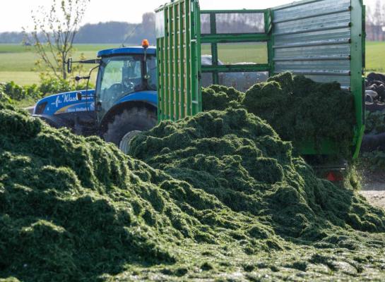 De graskuilen van 2023 bevatten meer fosfor dan in 2022