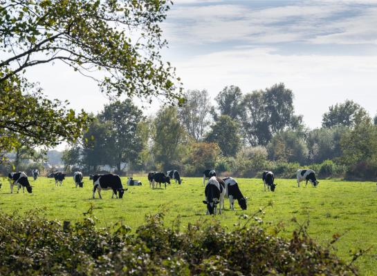 Aanmelden bij Qlip kan nog tot vandaag 15 mei, aanmelden bij RVO kan nog tot vrijdag 17 mei. Een dubbele aanmelding is nodig