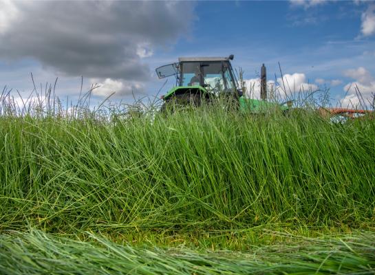 Lang gras dient bij voorkeur niet al te droog ingekuild te worden