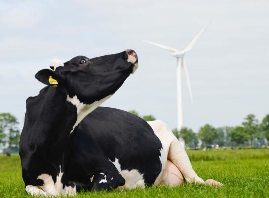 Zelf energie opwekken is een van de duurzaamheidsprestaties die beloond wordt in Foqus planet