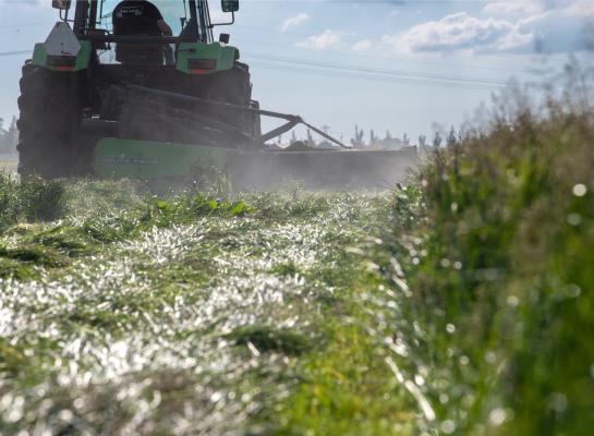 In Noord-Nederland wordt de tweede snede ingekuild 