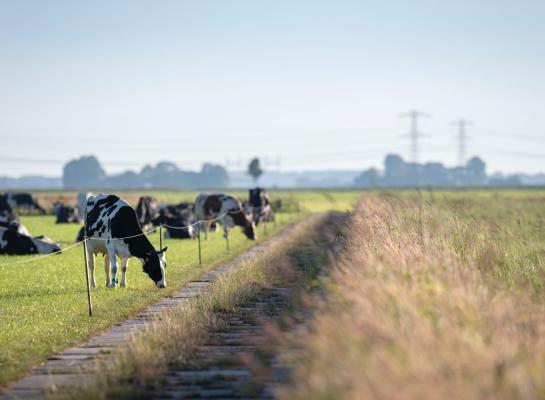 Een goed kavelpad maakt dit (voor)jaar verschil