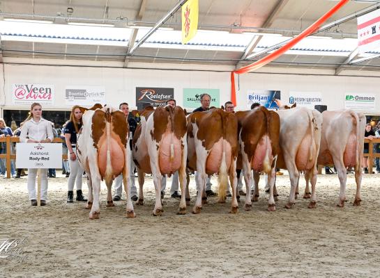 Fraai doorontwikkelde Rodydochters tonen veel duurzaamheid