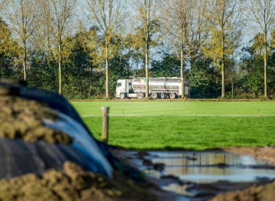 Over de eerste vijf maanden van dit jaar produceerde Nederland tot nu toe 1,3 procent minder melk