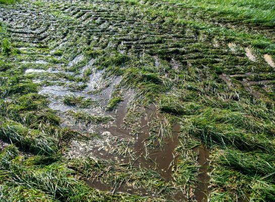 Werken met te zware machines is de belangrijkste oorzaak van bodemverdichting