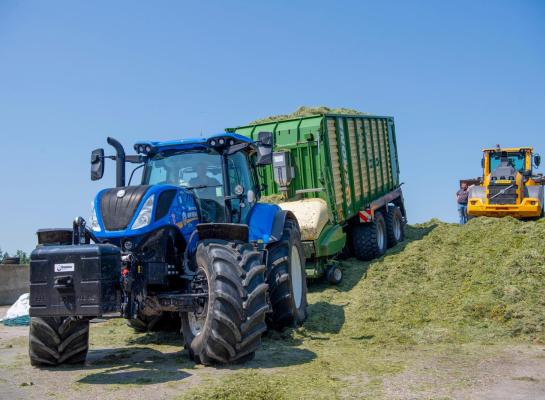 Door zes in plaats van vier keer te kuilen stijgt het vem gemiddeld met 45 (foto Mark Pasveer)