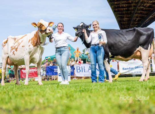 De Wijde Blik Mariegold 6a (links) en De Wijde Blik Marix bezetten het podium in Ommen (foto: Floor Schut)