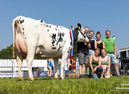 Vorig jaar won Bruninkweerd Glendale 34 (v. Dateline) het algemeen kampioenschap zwartbont op de fokveedag Bathmen-Laren