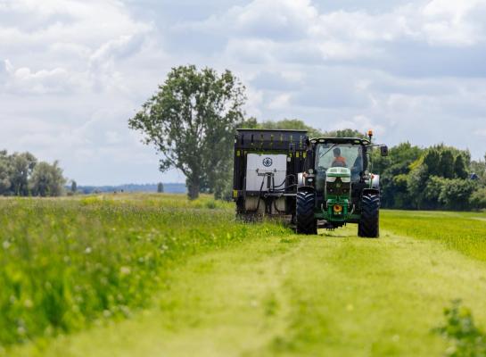 Ruim 10 procent van de Nederlandse melkveehouders heeft kruidenrijk grasland ingezaaid met financiële steun van het project ‘1001 hectare kruidenrijk grasland’