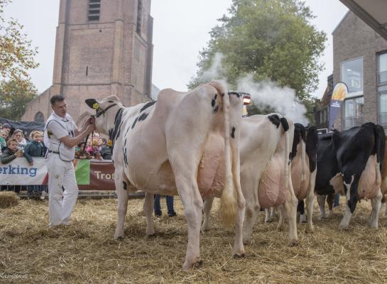 Annie 188 aan de kop van haar rubriek tijdens de Koeiemart
