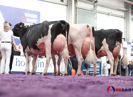 De titel in Carlisle was voor MAG Pandor (v. Sidekick)