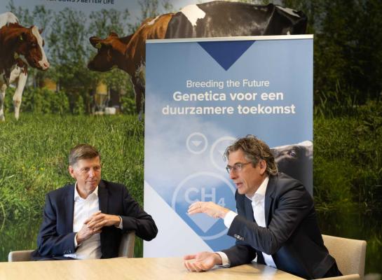 Angus Haslett & Egon Verheijden